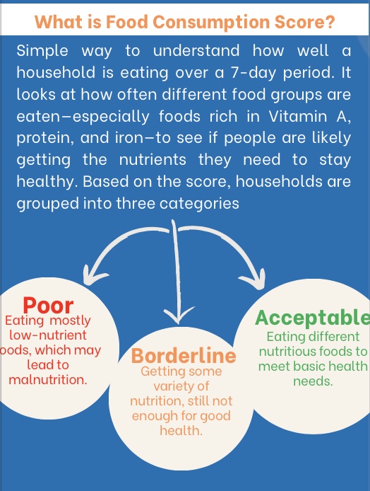 Visual explainer I designed: what is the Food Consumption Score